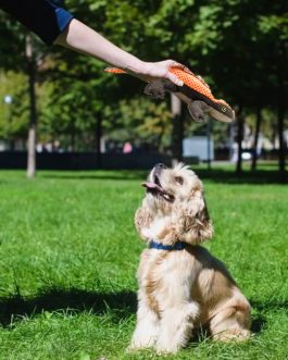 Squeaky Plush Dog Chew Toys Lizard Shaped
