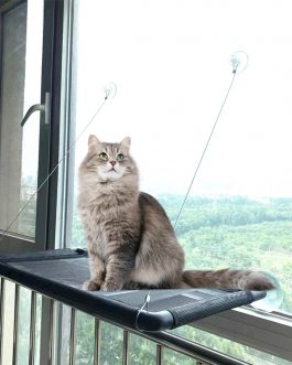 Cat Window Perch Window Hammock